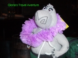 Gloria's Travels